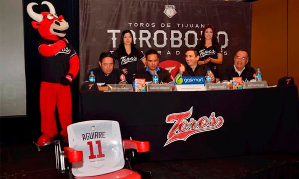 Toros a volar