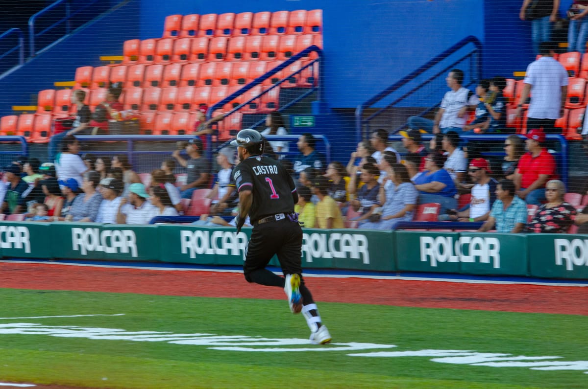 TRIUNFO 600 para toros