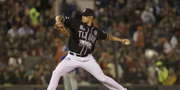 GANA TOROS SERIE CON PALIZA