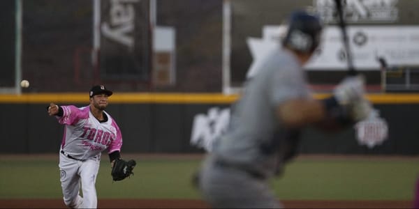 PIERDE TOROS SERIE COMPLETA ANTE SULTANES